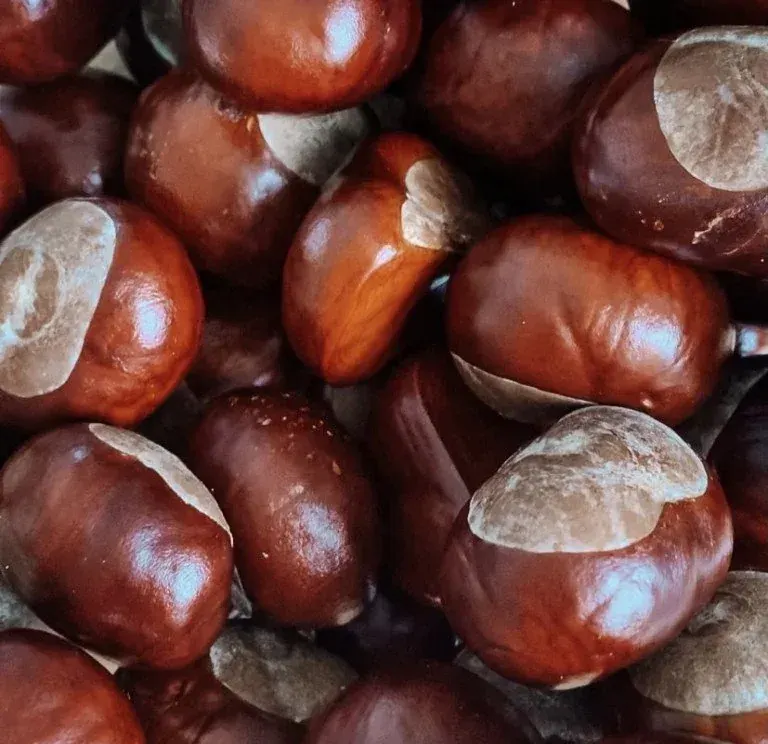 The milky-white chestnut wash liquid